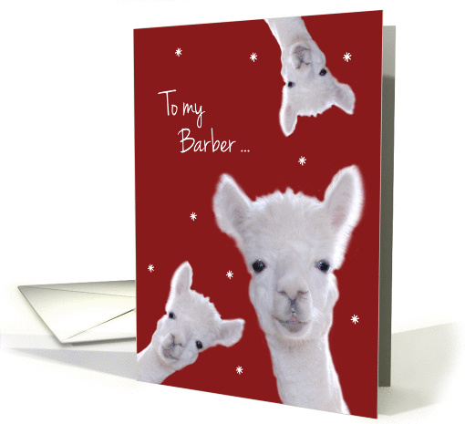 To my Barber, Warm Fuzzy Llama Christmas card (1330980)