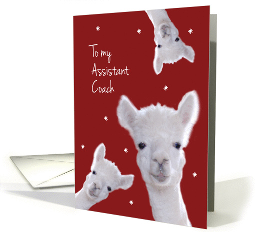 Assistant Coach, Warm Fuzzy Llama Christmas card (1330986)