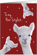 Hair Stylist, Warm Fuzzy Llama Christmas card