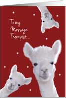 Massage Therapist, Warm Fuzzy Llama Christmas card