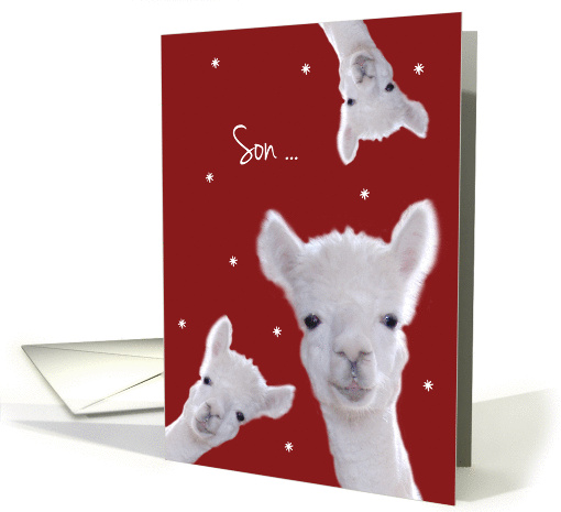 Son, Warm Fuzzy Llama Christmas card (1331026)