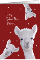 School Bus Driver, Warm Fuzzy Llama Christmas card