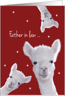 Father in Law, Warm Fuzzy Llama Christmas card