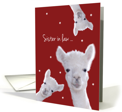 Sister in Law, Warm Fuzzy Llama Christmas card (1331044)