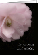 For Aunt on Her Birthday, Pink Camellia Flower card