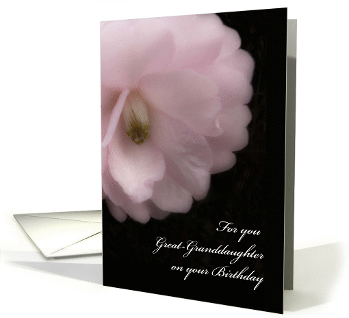 Great-Granddaughter Birthday, Pink Camellia Flower card (1332862)