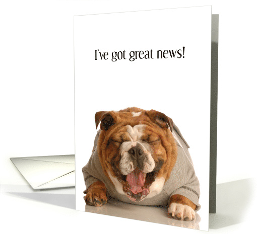 Great News General Announcement, Excited Bulldog card (1346536)