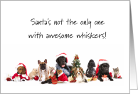 Santa’s Awesome Whiskers Christmas Card with Dogs and Cats card
