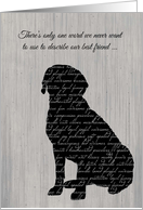 Sympathy, Loss of Dog, Sporting Breed, Word Collage card