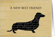 Congratulations on New Dog, Dachshund Word Collage card
