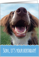 Son Birthday, Happy Dog with Something to Smile About card