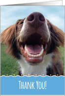 Thank You Card with Happy Dog card