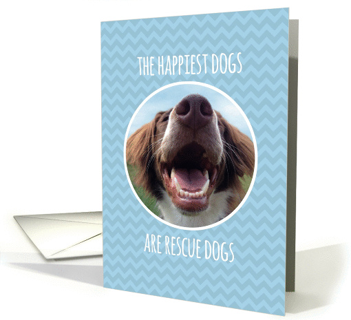 Congratulations on Adopting a Rescue Dog, Blue Chevron card (1391858)