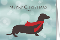 Merry Christmas, Dachshund in Red Scarf, Bokeh Effect card