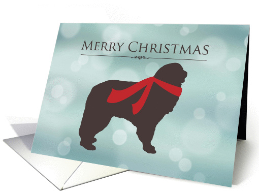 Merry Christmas, Newfoundland in Red Scarf, Bokeh Effect card