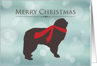Merry Christmas, Newfoundland in Red Scarf, Bokeh Effect card
