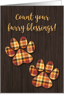 Thanksgiving, Count Your Furry Blessings card