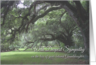 Sympathy, Loss of Granddaughter, Spanish Moss on Live Oaks card
