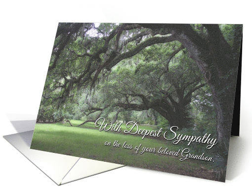 Sympathy, Loss of Grandson, Spanish Moss on Live Oaks card (1509980)