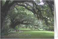 Thank You for Sympathy, Live Oak with Spanish Moss card