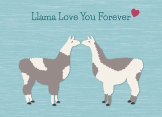 Llama Love You...