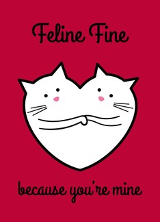 Feline Fine...
