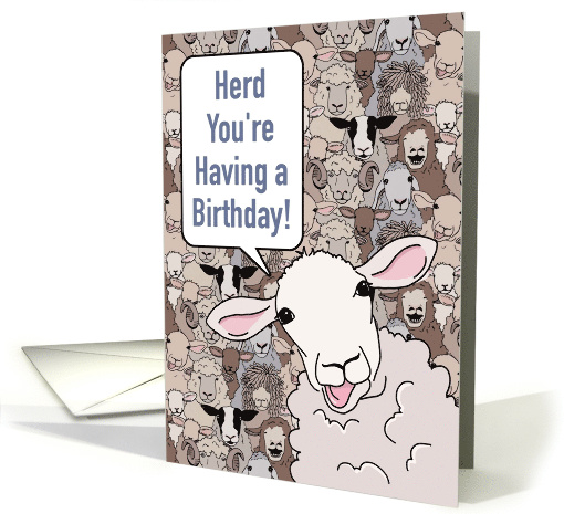 Funny Birthday Card with Flock of Sheep card (1579588)