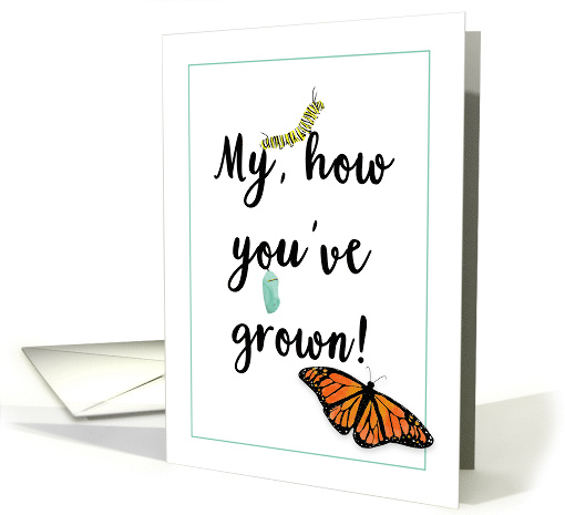 My, How You've Grown, Monarch Butterfly Birthday card (1581428)