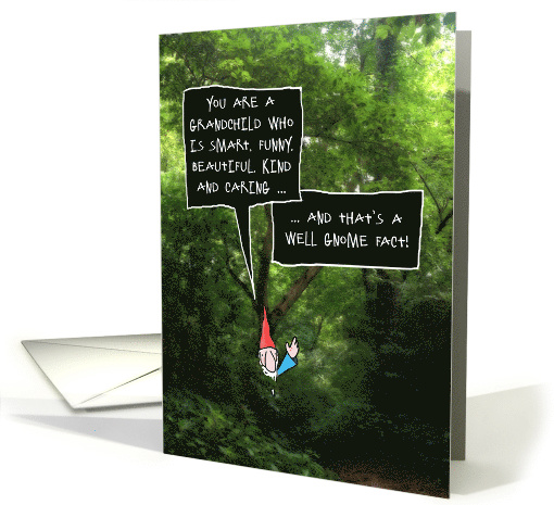 Grandchild Birthday, Humorous Gnome in Forest card (1601298)