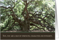 Proud of You Son with South Carolina Angel Live Oak Tree card