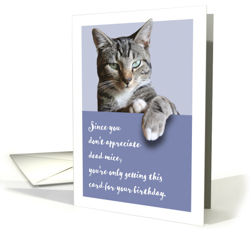 Funny Happy Birthday from the Cat card (1688576)