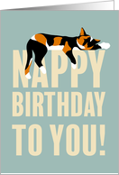 Happy Nappy Birthday To You Sleepy Calico Cat card