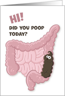 Hi Did You Poop...