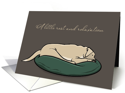 Get Well Sleeping Yellow Labrador Retriever Dog card (1723512)