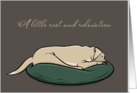 Get Well Sleeping Yellow Labrador Retriever Dog card
