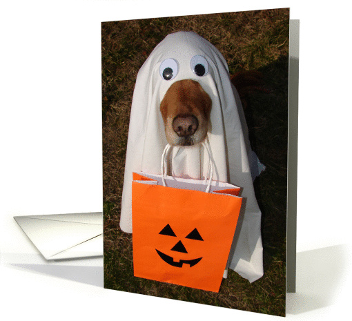 Happy Halloween, Did Someone Say Treats? Dog in Ghost Costume card