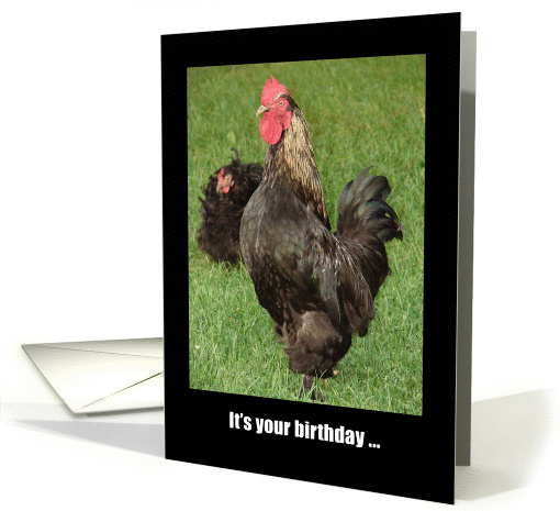 Happy Birthday, Strut Your Stuff! Rooster card (871517)