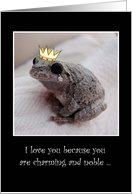I Love You, To Guy, Humor, Frog Prince card