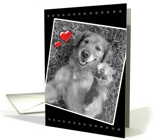 Love & Romance, More than Puppy Love, Dog with Hearts card