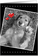 Love & Romance, More than Puppy Love, Dog with Hearts card
