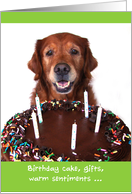 Happy Birthday, Smiling Dog with Chocolate Cake card