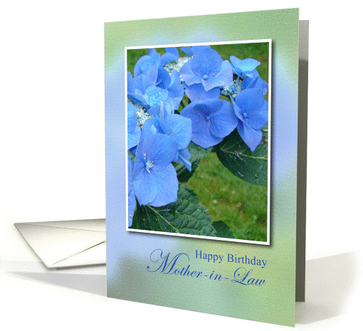 Happy Birthday Mother-in-Law, Blue Hydrangea Flowers card (883582)