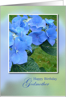Happy Birthday Godmother, Blue Hydrangea Flowers card