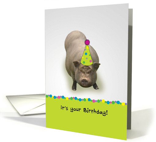 It's Your Birthday! Suey't! Party Hat Pig card (884137)