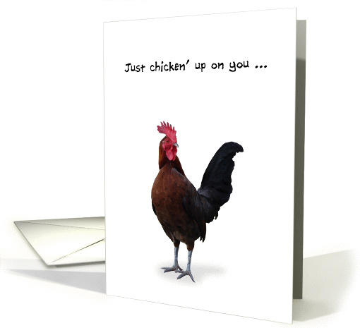 Get Well, Humorous Rooster, Checking Up on You card (885178)