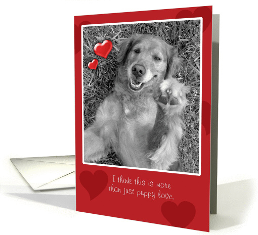 Valentine's Day, More Than Puppy Love, Playful Dog card (885430)