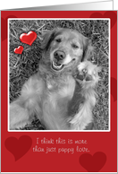 Valentine’s Day, More Than Puppy Love, Playful Dog card