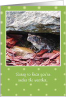 Get Well, Under the Weather Toad card