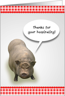 Thanks for Your Hospitality, Pot Belly Pig card