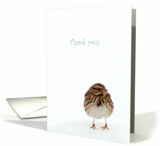Thank You, You're Too Too Tweet, Sparrow card (890294)